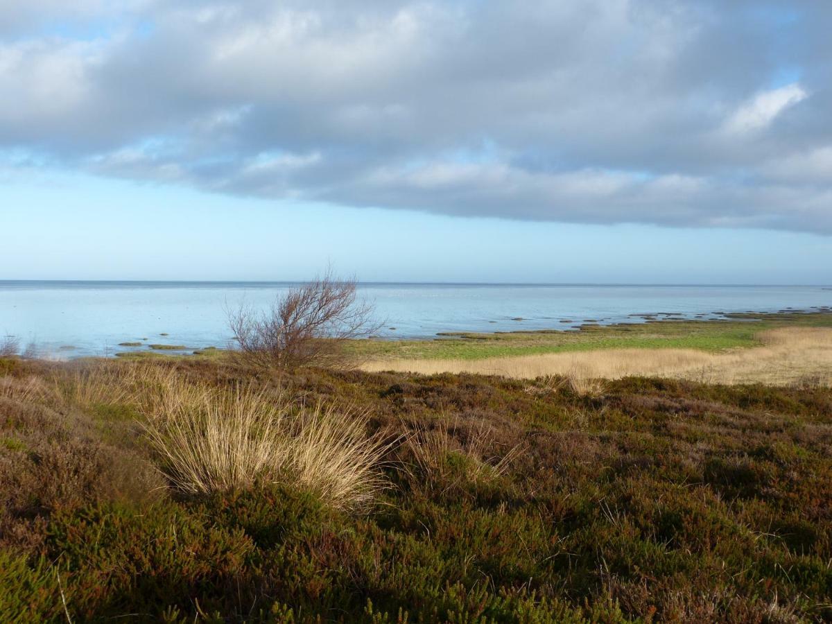 Kayser Sylt * Morsum (Sylt)