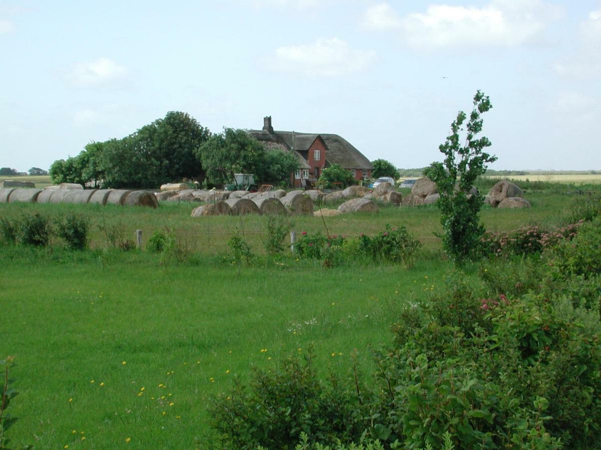 Kayser Sylt * Morsum (Sylt)